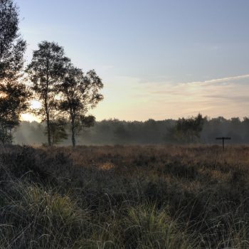 Natuurgidsen Brasschaat